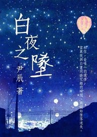 白夜之光游戏